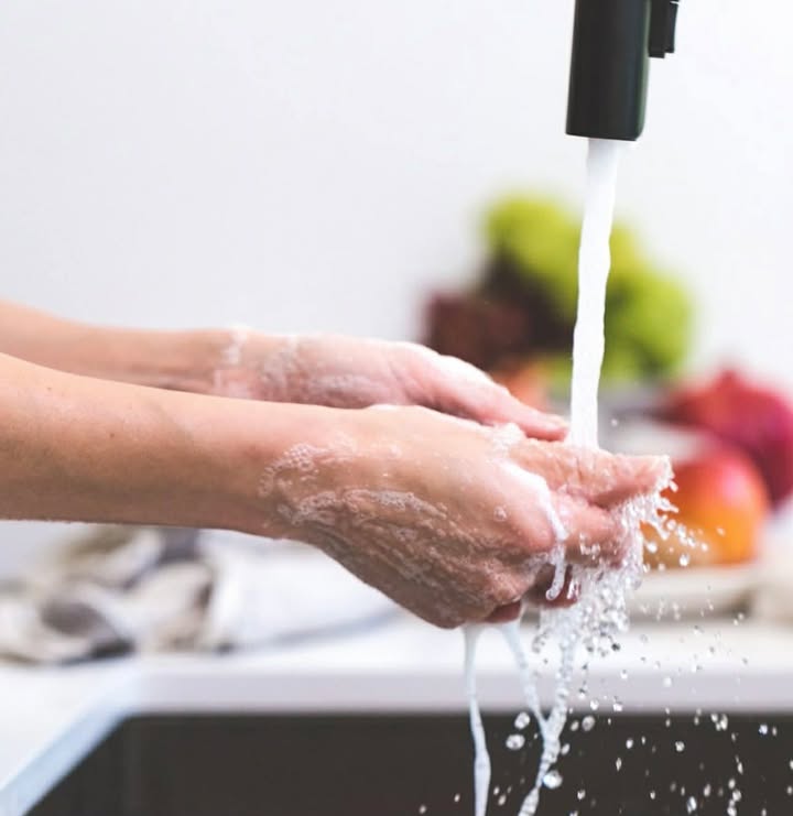 Maid to Shine cleaning professional